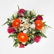The bouquet shown here is a lively medley of floral artistry created in the heart of New Barnet, filled with welcoming hues and textures. Three radiant orange gerbera daisies greet you first, their bold faces invoking the optimism of a new day along Leicester Road. These are complemented by sumptuous magenta roses-some intricately layered and open, others held tightly in bud-introducing both drama and a hint of mystery. At the core of the design rests a singular soft peach-cream rose, providing a soothing centrepiece that tempers the bouquet's vibrant energy. Delicate white alstroemeria, some with just a kiss of opening at their tips, weave through the arrangement, their elegance underscored by sprays of fluffy white chrysanthemums that offer a gentle, cloud-like texture. Lush, dark green leaves provide both structure and depth, making the colours appear even more vivid. The careful orchestration of flowers and foliage, seen clearly against the neutral white background, reflects the expertise of New Barnet florists. Crafted for moments of celebration or thoughtful gestures, this bouquet is equally at home on a dining table after a visit to the Spires Shopping Centre or as a meaningful delivery to a loved one nearby.
