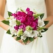 A close-up photograph captures a bride in New Barnet gently cradling a round, luxuriant wedding bouquet, pressed softly against the smooth white fabric of her gown. At the heart of the arrangement, large fuchsia and magenta peonies unfurl in dense, ruffled layers, each petal overlapping like silk, creating a plush, almost cloud-like centre. Their vivid colour is tempered by the purity of white alstroemeria threaded between them, the lilies' slender petals marked with fine maroon speckles and brush-like streaks that add a delicate, painterly detail. Around and among these blooms, spiky green buds and textural fillers - some resembling Ornithogalum before it opens - push up with fresh energy, their pointed tips catching the light and providing a crisp contrast to the round, velvety peony heads. Deep green, glossy leaves shape and frame the bouquet, cupping the flowers and lending a natural, garden-fresh feel, as though the stems have just been gathered from a hidden corner of Oakhill Park. The bride's hands, nails neatly polished in a pale blush pink, hold the stems with a relaxed, almost tender grip, emphasising the personal, intimate nature of the moment. The background is softly blurred, a wash of pale tones and subtle lace texture that lets the colours of the flowers shine without distraction. You can almost imagine the gentle fragrance rising - sweet peony notes mingling with the light, green scent of the foliage - as the bouquet becomes a focal point of joy and anticipation, perfect for a spring or summer ceremony anywhere across New Barnet's churches, registry offices, or garden venues.
