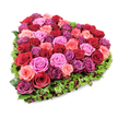 A richly textured heart-shaped floral tribute photographed against a clean white backdrop, seen from a slightly elevated, overhead angle that reveals its full, lush contours. At its centre sits a dense, opulent cluster of garden roses-each bloom carefully placed to form the unmistakable heart silhouette. The palette moves from velvety crimson and deep burgundy through soft blush and pastel pink to brighter fuchsia and dusky purplish-magenta tones, the colours blending together like a woven tapestry. Petals range from tightly furled buds to gently unfurling layers, creating a tactile surface that looks almost plush to the touch. Encircling the floral core is a neat, deep-green fringe of fine textured foliage-think carnation leaves or similar lacy greenery-that defines the heart's edge and lends a woodland freshness. Scattered within that green border are tiny dark red berries or small accent blossoms, adding punctuation and depth to the composition. The lighting is bright and even, bringing out the velvet sheen of the rose petals and the subtle veining in each leaf while the stark white background makes the emotional reds and pinks sing. As a nearby florist in New Barnet I imagine this piece standing quietly beside a service in Oak Hill Park or resting on a mantel in Station Road homes; its fragrance would be the familiar, comforting scent of roses. Whether chosen for a tender anniversary, a heartfelt Valentine's message, or a gentle memorial, this arrangement reads as both artistry and sincere sentiment, its craftsmanship evident in the abundant, considered placement of every bloom.