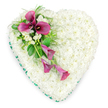 A thoughtfully arranged heart-shaped floral tribute rests against a pure white background, its gentle curves clearly defined and filled edge-to-edge with tightly packed white spray chrysanthemums. The small blooms create an even, velvety surface, so soft and dense it appears almost like a cushion of snow, offering a feeling of calm, purity, and quiet respect. Around the outside of the heart, a narrow emerald green ribbon runs in a smooth, continuous line, folding neatly around every curve and point. This satin edge frames the white flowers with a subtle sheen and introduces a delicate contrast of colour. On the upper left side, a striking diagonal spray of deep magenta and fuchsia calla lilies draws the eye. At the top of the spray, several calla lilies stand more upright, fully open in their elegant, trumpet-shaped form with dark centres that add depth and drama. As the spray travels downward, a few slimmer, partially unfurled blooms trail gracefully, giving a sense of soft movement across the heart. Between the calla lilies, clusters of smaller white flowers, likely fragrant freesias, appear, their petite petals offering an airy, intricate counterpoint to the bold lilies. Around this focal area, lush greenery fans out: feathery fern fronds, smooth glossy leaves, and lighter foliage that provide texture, shape, and natural balance. The tribute feels deeply personal, the sort of floral heart a family in New Barnet might select to accompany a final farewell, delivered quietly to a local church, funeral home, or crematorium as a tender expression of love, remembrance, and lasting affection.