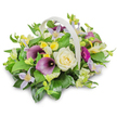 This image features a graceful funeral flower basket presented in a light cream woven container with a smooth, curved handle rising above a generous dome of blooms. The basket sits on a clean white surface, with a bright white background that highlights each colour and petal, creating a calm, almost chapel-like atmosphere reminiscent of peaceful spaces around New Barnet. In the centre of the arrangement, a large creamy white rose unfolds in delicate layers, its soft spiralling petals drawing the eye and symbolising innocence and remembrance. Nearby, rich purple calla lilies extend slightly above the other blooms, their velvety, trumpet-shaped throats adding depth, elegance, and a sense of quiet formality suited to a farewell tribute. Interspersed among them are light lavender clematis-style flowers, star-shaped with gentle yellow centres, introducing a tender pastel note that lightens the composition. Sprays of small, bright yellow blossoms, similar to alstroemeria or freesia, weave through the design, giving little bursts of warmth and hope. Tucked to the right, a single magenta gerbera daisy emerges, its radiating petals creating a touching focal point that suggests vivid, cherished memories. A rich layer of foliage surrounds and supports the flowers: broad, glossy green leaves form a sturdy base, while finer, lighter green stems and sprigs provide texture and softness. The careful use of light creates a faint shadow beneath the basket, grounding it and enhancing the three-dimensional feel of the arrangement. Crafted with the sensitivity of an experienced local florist, this basket would be appropriate for funeral services, wakes, or condolence deliveries across New Barnet, offering a gentle, dignified expression of sympathy and support.