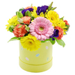 Captured in clear studio light against a snowy white background, this Easter hatbox arrangement looks like a pocket of spring brought indoors to New Barnet. The flowers gather into a lush, domed composition that spills just slightly over the edge of a pastel lime-yellow cylindrical hatbox, giving a sense of abundance without feeling heavy. At its heart sits a single, standout light pink Gerbera daisy, facing forward with a calm, open expression; its many slender petals encircle a pale green centre, creating a soft focal point that gently anchors the design. Radiating around it, bright yellow chrysanthemums form a ring of sunshine, their compact, daisy-like heads echoing the optimism of a fresh walk through Hadley Common. Between the yellow blooms, softly ruffled coral-orange carnations introduce layers of texture, their frilled edges evoking the folds of a delicate fabric. Here and there, rich violet-purple lisianthus blossoms peek out, their deeper tones adding a touch of mystery and refinement. The bouquet is tucked into a bed of complementary green foliage, including a few variegated leaves with creamy margins that catch the light and add dimension. The hatbox container is a gentle pastel yellow-green, its surface dotted with tiny, playful Easter eggs in muted pink, blue, and white, each patterned with faint stripes or speckles that hint at childhood egg hunts and family traditions in New Barnet homes. The overall impression is cheerful yet soothing, ideal as a centrepiece for an Easter brunch, a seasonal accent on a coffee table, or a thoughtful surprise delivered to someone special in New Barnet, bringing the scent and spirit of spring straight to their door.