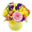 This joyful hatbox arrangement is captured in sharp detail against a clean white background, allowing every colour and petal to shine as brightly as a sunny afternoon over New Barnet. The container is a round, light lime green box, its surface dotted with gentle pastel blue and white polka dots that instantly give the piece a playful, gift-ready character. From within this box, a perfectly rounded bouquet rises, densely packed so that the blooms form an even, dome-shaped canopy of colour, just skimming the rim as though about to overflow. At the front, a striking bright pink gerbera daisy commands attention, its wide, symmetrical face framed by neatly layered petals and a subtle green centre that adds a refreshing note. Encircling it, soft yellow chrysanthemums or miniature daisies radiate outward, their fine petals and cheerful faces suggesting warmth, light, and easy smiles. Among these, coral and orange carnations provide rich, textured accents, each ruffled bloom curling and folding in delicate layers that add softness and tactile appeal. In between, deep purple and indigo lisianthus blossoms weave their way through the composition, their velvety petals and elegant, cup-like shapes bringing a sense of depth and a hint of evening richness, much like the gentle shade under mature trees in nearby Monken Hadley. Sprays of fresh green foliage, including variegated leaves edged in lighter tones, break up the colour blocks and lend a lush, natural framework to the design. The overall impression is of a bright, modern floral gift, ideal for celebrating birthdays, sending congratulations, or lifting spirits with same-day local delivery across New Barnet, each bloom arranged with care and a feel for joyful colour harmony.