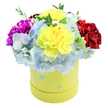 A cheerful, domed bouquet sits overflowing from a round pastel-yellow hatbox, pictured against a clean white backdrop. At the heart of the composition are two large, lemon-yellow carnations with ruffled, almost feathery petals that catch soft morning light, their crinkled edges creating shadows and highlights. Surrounding and supporting those sunny blooms are generous clusters of powdery periwinkle-blue hydrangea, each tiny floret forming a cloud-like mass that softens the arrangement and adds a cool, tranquil counterpoint to the warm yellows. Toward the left a deep magenta-fuchsia carnation pushes through with a rich, saturated tone, while on the right a velvety crimson-red carnation balances the palette with its darker, plush presence. Slender sprigs of fresh green foliage peek between blossoms, introducing crisp texture and the scent of verdant leaves that offsets the subtle clove-like aroma of the carnations. The cylindrical box itself is a soft lime-yellow paperboard, whimsically dotted with irregular pastel polka-dots in pale blue, soft pink, and light green-some with tiny white speckles-adding a playful, handmade feel that suggests springtime celebrations. The composition feels meticulously arranged yet exuberant, a compact, gift-ready design that radiates joy and appreciation. As a florist I picture this sent from a local shop to a neighbour in New Barnet, a short walk from New Barnet station and Oak Hill Park, ideal for birthdays, thank-you gestures, or to lift someone's day with an instant burst of colour and texture.