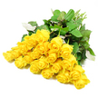 A lush bouquet of roughly two dozen long-stemmed yellow roses is spread in a gentle arc across a bright white background, captured in crisp, even light that highlights every detail of the petals and leaves. Each rose carries a serene, golden-yellow hue that feels warm rather than loud, perfectly suited to a thoughtful sympathy tribute delivered to a home or chapel in New Barnet. Some of the blooms remain in tight buds, their centres hidden like quiet, unspoken thoughts, while others are beginning to open into layered rosettes, the outer petals softening and curling back with a natural ease. At the base of the blooms, clusters of rich, dark green leaves provide contrast and structure; their surfaces have a subtle sheen, with delicate veins faintly visible, and occasional lighter patches where the leaf edges catch the light. The stems fan together toward one side of the frame, straight and freshly cut, suggesting the bouquet has been recently prepared and gently placed down, perhaps on a polished wood table or beside a framed photograph during a memorial in one of New Barnet's peaceful residential streets. The white studio backdrop keeps the focus entirely on the flowers, reducing the composition to soothing tones of yellow, green, and white that echo calm and compassion. This image conveys a sense of quiet comfort and remembrance, reflecting how a simple bouquet of yellow roses can offer warmth, support, and a gentle ray of hope to those navigating loss across New Barnet and the surrounding Barnet community.