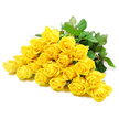 In this detailed photograph, a lavish cluster of yellow roses stretches horizontally across a pure white backdrop, a view reminiscent of looking down at a finished floral piece on a New Barnet worktable before it is wrapped for delivery. Around two dozen rose heads press closely together, forming a rich mosaic of soft petals. Some blooms are compact, with neat spiral centres that draw the gaze inward; others are fully open, with layered petals gently curling at the edges, creating a sense of depth and fullness. The yellow colour is bright and clear, like a shaft of sunlight reaching through the trees in nearby Monken Hadley Common, and remains remarkably uniform from bud to bloom. Dark green foliage is scattered thoughtfully among the roses, the leaves broad and healthy, providing a visual rest from the golden tones and emphasising the flowers' freshness. A few woody stems can be seen beneath, hinting at their natural structure and bearing the occasional thorn. The light is soft and even, with subtle shading that defines each petal's curve without creating harsh contrasts, making the bouquet appear calm and serene. There are no visible vases, ribbons, or extra ornaments, so the focus stays entirely on the natural beauty of the roses and their leaves. The composition carries a gentle, consoling atmosphere, perfect for a sympathy bouquet being sent to a family in New Barnet or neighbouring areas, where the bright yellow offers quiet encouragement and a reminder of shared memories, even in a time of mourning.