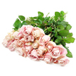 A bountiful sweep of pale blush roses stretches diagonally across a pristine white background, as though just laid down by a careful hand in a New Barnet florist shop at the end of a tender, thoughtful arrangement. There are about twenty-four roses gathered together, their heads clustered in a gentle fan so that no bloom overshadows another. Each flower shows a slightly different stage of life: some are neat, pointed buds with petals flush against the centre, while others have begun to unfurl in those classic rose spirals, revealing layers of silky petals that look almost weightless. The colour is a soft, understated blend of champagne pink, ballerina blush, and creamy ivory, with the faintest suggestion of lavender in the shaded folds, giving each bloom depth and character. Along the edges, certain petals lighten to a creamy, nearly porcelain pink, catching the light in a way that suggests calm and purity. Underneath, rich, dark green leaves and strong stems form a textured bed, the foliage glossy and full, emphasising the freshness of the bouquet as if it has just arrived from a trusted grower. The stark white backdrop strips away any distraction, allowing the roses' quiet elegance to take centre stage, like a moment of stillness beside Hadley Wood or along a residential street near New Barnet station. The atmosphere is one of serenity and gentle remembrance, ideal for sympathy flowers or a memorial display where subtlety matters. This kind of arrangement feels like a visual embrace-something we're often asked to deliver to homes and funeral chapels in EN4 when families want a soft, dignified expression of love, support, and farewell.