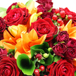 The image presents a lavish, tightly composed bouquet, with every inch of the frame filled by flowers and foliage in glowing reds, oranges, and greens, like a pocket of late-afternoon sunshine captured in petals over New Barnet. At the centre, red roses are fully opened and plush, their velvety petals coiling inward in elegant spirals that draw attention to the heart of each bloom, evoking romance and devotion. Interwoven with the roses are striking orange lilies, their star-shaped petals flaring outward with a gentle backward curve, revealing pale-speckled throats and slender stamens dusted with pollen. These lilies inject a burst of brightness and a sense of upward movement, as if reaching for light. Framing and deepening the central colours, smaller roses and rosebuds appear in darker burgundy and rich crimson hues, tucked in close to the larger blossoms, adding layers of visual depth and a slightly vintage, luxurious feel. Surrounding and supporting the flowers is an abundance of lush green foliage, from broad, glossy leaves that cup the blooms to finer, wispier greenery that fills small gaps and softens the edges. A single, elegantly curled leaf arcs into the foreground, highlighting the texture and shape of the greenery with sculptural grace. Among the petals, clusters of round, ruby-red hypericum berries appear like tiny jewels, their polished surfaces catching the light and echoing the rose tones while adding playful texture. Soft, bright lighting enhances the natural sheen on the petals and berries, suggesting just-cut freshness from a nearby New Barnet florist. The overall impression is of a warm, celebratory bouquet ideal for anniversaries, romantic surprises, or offering congratulations that feel both bold and heartfelt.