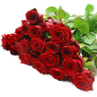 A sweeping bouquet of deep red roses lies arranged in a generous horizontal line across a bright white surface, creating a dramatic ribbon of colour that commands attention. There are around twenty-four to thirty long-stemmed blooms gathered together, each head turned slightly so their velvety faces overlap, building a sense of fullness and abundance. The roses vary subtly in openness: some blossoms are wide and rounded, exposing layered whorls of petals at their core, while others remain delicately closed, their outer petals hugging the centre in a tight spiral. Toward the upper right of the composition, the dark green stems and shining leaves become more visible, forming a lush backing that frames the roses and brings a sense of garden freshness. The light falling over the bouquet is clean and soft, much like daylight filtering into a New Barnet home near Victoria Park, illuminating details without harsh shadow. On the white background, the red tones appear especially rich-true crimson with hints of wine in the deeper folds-so the bouquet feels both classic and contemporary. There are no added decorations, just the natural elegance of the roses themselves, suggesting they have just been prepared by an experienced local florist for delivery to a loved one along Lyonsdown Road or near the High Road. The image evokes the subtle fragrance of fresh red roses and the quiet anticipation of an important moment: a significant anniversary, a romantic surprise, or a heartfelt thank you, all expressed through this timeless cluster of passionate blooms.