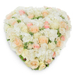 Viewed from directly above against a pure white background, this heart-shaped floral tribute folds tenderly into itself, a hush of pale tones and soft textures crafted to comfort. The surface reads like a gentle mosaic: dozens of roses in radiant white, warm cream and delicate blush are arranged with careful attention to scale, from tightly furled buds to sumptuous, fully opened blooms. Between them, billowy clusters of snow-white hydrangea add a cloud-like volume, their tiny petals creating a plush foundation that softens the heart's silhouette. Subtle sprigs of deep green, slightly variegated foliage peek through the flowers, offering cool contrast and a natural, grounded feel. A faint, soft shadow beneath the edges reveals the arrangement's three-dimensional construction and the florist's meticulous shaping. The scent is suggested rather than overwhelming-clean, sweet notes of rose mingling with the green freshness tucked beneath, as if set out in the early morning light around Station Road or a quiet corner of Victoria Recreation Ground. The overall impression is one of tender dignity and handcrafted care: a design equally suited to a wedding's intimate moments or to a memorial service where calm, reverent beauty is needed. The palette-creamy ivories, pale peach, and blush pink-carries warmth without brightness, conveying solace and enduring affection. This image speaks of slow, expert work by an experienced hand, offering a heartfelt expression of remembrance or quiet love for someone you want to honour with gentle elegance.