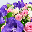 The photograph captures an opulent bouquet in close detail, the kind you might imagine being carried from a New Barnet studio straight to a special celebration. At the top and throughout the arrangement, large purple Vanda orchids unfold their lush petals, each petal marked with a distinctive darker violet lattice that creates an almost mosaic-like effect, lending the flowers a sense of exotic luxury. Cradling these orchids are many roses in harmonious pastel shades: soft blush pink that suggests romance, slightly deeper rose-pink that adds warmth, and creamy white blooms that sometimes glow with a touch of pale yellow at their centres. Their petals are densely layered and gently curled, giving the bouquet a plush, cushiony appearance. Between the roses and orchids, clusters of small, waxy white berries, likely Hypericum, stand on short stems, their smooth, bead-like texture offering a crisp contrast. Sprinkled through the design, tiny white blossoms-reminiscent of miniature chrysanthemums or button carnations-add lightness and make the bouquet feel even more full and generous. Surrounding the flowers are glossy, fresh green leaves that arch naturally, alongside feathery, silver-green foliage similar to Dusty Miller, whose velvety surface introduces a cool, cloud-soft element. The arrangement fills the entire frame against a clean white backdrop, so every colour and texture is easily distinguished. The interplay of regal purple, gentle pinks, creamy whites, and mixed greens suggests a mood of sophisticated joy, perfectly suited to anniversaries, engagements, or heartfelt congratulations in and around New Barnet, from quiet residential streets to gatherings near New Barnet station. The overall impression is of a carefully composed bouquet that balances drama with tenderness, ideal for bringing a sense of calm elegance to any room.