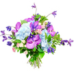 Against a stark white background, this hand-tied bouquet appears as a luxurious burst of cool colour and texture, carefully arranged to look both polished and slightly natural. The main focus is on several large, rounded heads of soft sky-blue hydrangeas, their countless tiny petals overlapping to form fluffy, cloud-like clusters that establish a serene base. Punctuating this softness are bold fuchsia and deep purple orchids, likely Vanda or Phalaenopsis, each bloom displaying intricate speckles and delicate veining that catch the eye and lend a sophisticated, exotic note. Rising from and spilling around the hydrangeas, rich purple clematis flowers sway on slender stems, some forming open, starry faces, others hanging more loosely like bells, creating a sense of vertical lift and gentle movement, as if caught in a light breeze along one of New Barnet's leafy avenues. Nestled deeper within the bouquet are miniature roses in gentle shades of blush pink and creamy white, their compact rosettes lending warmth and a quietly romantic feel that would suit a heartfelt gesture or thoughtful get-well message. Around the outside, lush green foliage with broad, glossy leaves and finer textures frames the bloom, grounding the cooler tones and emphasising the bouquet's generous, full shape. The stems are neatly gathered and tied at the bottom, clearly showing a professionally crafted arrangement that could easily sit as a centrepiece on a New Barnet dining table or brighten a front room overlooking a local park. The overall impression is one of elegance, celebration, and calm, captured in a moment of perfect freshness.