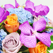 This image presents a lush, contemporary bouquet viewed from above, set crisply against a white background that allows each colour and texture to shine, much like arrangements prepared for special deliveries around New Barnet and nearby High Barnet. The most striking elements are the Vanda orchids, their petals rich with fuchsia and magenta tones and adorned with fine, white, mesh-like veins that form an intricate, almost geometric pattern. These orchids sit prominently across the top and centre of the bouquet, giving it a distinctly modern, luxurious edge. Intertwined with them are several large roses: one bright orange rose positioned in the lower left area radiates warmth, its petals tightly coiled in a classic spiral; close by rests a rose in a dusky lavender or mauve shade, softer in colour but equally full, lending a romantic, gently nostalgic feeling. The backdrop of the composition is formed by a full cluster of pale blue hydrangeas, occupying the upper-middle section like a soft cushion. Each hydrangea head is made up of tiny, overlapping florets, creating a cloud-like texture that contrasts beautifully with the strong shapes of the orchids and roses. Small touches of fresh green foliage tuck in between the blooms, suggesting vitality and helping to frame the brighter colours. The bouquet is densely packed, creating an opulent, almost tapestry-like effect, with no harsh lines or gaps. Soft, even lighting enhances the natural sheen of the petals and the cool serenity of the blue hydrangeas. Overall, the arrangement feels celebratory and refined, perfect for marking life's important moments in New Barnet, from milestone anniversaries to elegant dinner parties, or simply to bring a splash of sophisticated colour into a loved one's home.