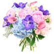 On a pure white background, this lavish round bouquet appears almost like a pastel sculpture, every bloom thoughtfully placed to create harmony and gentle drama. At its centre, sumptuous light pink peonies unfurl in layered, ruffled profusion, their soft petals overlapping to form generous, romantic blossoms that feel both timeless and luxurious. Surrounding them, clusters of sky-blue hydrangeas create a cool, cloud-like foundation, their many tiny florets blending into rounded cushions of colour that echo the soft skies seen above New Barnet's quiet residential streets. Weaving through this softness, deep violet Vanda orchids stand out boldly, their flat, open flowers patterned with distinctive speckles that give an exotic, modern twist, as if jewels have been scattered among the petals. Rosy pink and peach calla lilies arc elegantly through the arrangement, their smooth, trumpet-shaped forms lending a sculptural grace that guides the eye gently around the bouquet. Tucked between the larger blooms, petite pale pink spray roses add intimate detail, their small, tightly coiled buds suggesting new beginnings and tender messages left unsaid. Around the edges and peeking from within, fresh dark green leaves provide rich contrast, while silvery-grey Dusty Miller foliage introduces a soft, velvety texture and a frosty sheen that subtly cools the overall palette. The stems are gathered neatly and tied at the base with the precision you would expect from a skilled New Barnet florist preparing a special delivery along East Barnet Road. The finished bouquet radiates gentle celebration and polished beauty, making it perfectly suited to anniversaries, birthdays, or simply surprising someone dear with a luxurious expression of affection in the New Barnet area.