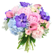 A lavish, round bouquet in shades of blush pink, powder blue, and royal purple is captured against a pure white background, every detail crisp and luminous as though lit by soft studio light. At its heart, generously bloomed light pink peonies billow outward, their layered, ruffled petals creating a sense of fullness and romance reminiscent of vintage bridal styling. Surrounding and gently supporting these central flowers are clusters of cool blue hydrangeas, whose countless tiny petals form rounded, cloud-like domes that soften the composition and bring a refreshing, serene tone. Scattered with intent throughout the bouquet are rich violet Vanda orchids, their speckled petals dark and velvety, adding an exotic flair and depth that instantly catches the eye. Slender fuchsia calla lilies curve elegantly between the larger blooms, their sculptural, trumpet-shaped heads lending a dynamic, contemporary line that contrasts beautifully with the peonies' softness. Interlaced with care, small blush spray roses add an intimate, garden-rose charm, their buds and open flowers offering layers of finer texture. Around the edges, the arrangement is framed by lush green leaves and the distinctive silvery, velvety foliage of dusty miller, whose muted tones cool the palette and add a touch of woodland tranquillity. The exposed stems at the base are neatly tied, revealing the bouquet's hand-tied craftsmanship-just the sort of careful work you might expect from a local New Barnet florist preparing flowers for a spring wedding near Oakleigh Park or a milestone celebration at home. Overall, the image conveys elegance, tenderness, and a sense of joyful occasion, as if the bouquet is ready to be delivered moments before a cherished event begins.