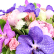 A sumptuous bouquet fills the frame against a high-key white background, making every flower appear vivid and three-dimensional. At the centre, dramatic Vanda orchids in nuanced shades of lavender and intense purple draw the gaze, their wide petals etched with delicate, netted veining that suggests both strength and fragility. They are embraced by a halo of peonies, some tightly cupped, others fully unfurled, displaying ruffled petals that move from the palest ballet pink at the edges to deeper blush tones at the core, like soft evening clouds over New Barnet. Among these peonies nestle pink roses in various stages of opening, from small, neatly wrapped buds to fully open, light pink blooms that introduce a familiar, romantic language. Scattered between the pinks and purples are crisp white pom-pom style chrysanthemums, or closely related miniature blooms, their petite, spiky spheres adding sparkle and preventing the composition from feeling too heavy. Wrapped around the blossoms is a generous mix of lush, glossy foliage, with some leaves subtly edged in lighter green, giving a sense of life, freshness, and movement-as though the bouquet was just prepared in a local New Barnet florist's studio. The dense, rounded arrangement feels luxurious and abundant, ideal for marking a milestone anniversary, welcoming a new baby, or sending congratulations to a family near Hadley Wood. The soft, even lighting accentuates the velvety textures of the petals and the gleam of the leaves, capturing a mood that is both joyful and deeply thoughtful, like a carefully composed embrace in floral form.