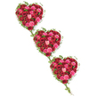 Three intertwined hearts made entirely of roses and ivy stretch diagonally across a spotless white background, forming a graceful chain from upper left to lower right. Each heart is densely carpeted with roses in a symphony of reds and pinks: deep wine tones, classic romantic red, bright cherry, vivid magenta, and gentle blush all blend together, their velvety petals overlapping to create a soft, cushion-like texture. Some flowers sit close and compact, still in bud, while others are more open, their layered petals forming ruffles that catch the light. Framing these rose-filled hearts, glossy green ivy curves around the edges and threads between them, its tendrils gently touching each heart in turn so the three shapes feel inseparable, like stages of a shared journey. The contrast between the strong green foliage and the warm rose palette adds depth and clarity to the design, while the white background keeps the focus entirely on the tribute itself. This piece feels especially suited to a memorial or funeral in New Barnet, perhaps for a service close to Barnet High Street or a chapel near the quiet paths of Hadley Green, where families come together to remember. The overall effect is peaceful and purposeful, a combination of romance, reverence, and heartfelt affection. Every detail reflects the steady hand of a skilled florist in New Barnet, building a floral expression of enduring love that remains long after the final farewell.