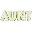 A dignified funeral tribute shows the word AUNT arranged in four bold capital letters, each one lavishly filled with snowy white chrysanthemums. The small, rounded flower heads have been set closely together so that no gaps of greenery show through, creating a plush, velvety surface that feels almost like a soft pillow of petals. Around the edge of every letter runs a delicate but distinct trim of bright green foliage or ribbon, its ruffled texture following the curves and corners of the typography and neatly framing the white blooms within. The contrast between the fresh green border and the pure white flowers helps each letter stand out clearly, even against the light, uncluttered background of the image. The composition is balanced and symmetrical, with the letters standing in a straight, unwavering line, reflecting the steady affection and respect felt for the aunt being remembered. The overall effect is one of quiet grace and tender simplicity, the kind of floral tribute you might see resting near the front of a chapel in New Barnet or carried carefully from a local florist to a nearby cemetery. There is no excess decoration, just the softness of the petals and the clean outline of greenery, which together convey love, gratitude, and a heartfelt farewell. This arrangement captures the essence of a personal family goodbye, expressed through the timeless language of white funeral flowers and gentle, natural tones.