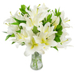 A lush, carefully composed bouquet of pristine white lilies fills the frame, arranged in a simple clear glass vase against an immaculate white backdrop. Each trumpet-shaped bloom displays six broad, satiny petals that unfold in soft waves; the petals are a brilliant, luminous white with a faint creamy, yellow-green wash deepening towards each flower's throat, giving the blossoms subtle warmth and depth. From several open flowers slender, pale green filaments rise to soft brown anthers dusted with fine pollen, a gentle contrast to the pure white petals. Interwoven among the blooms are plentiful, lance-shaped leaves of deep, glossy green that add structural volume and a cooling visual counterpoint. The vase is classic and transparent, with a gently flared neck and sturdy base; through the clear water you can see the pale green stems reaching down, their smooth texture and neatly trimmed ends speaking to careful handling. Light skims the glass and the water's surface, creating faint reflections that enhance the arrangement's freshness. As a florist describing it to someone who cannot see, I would note the lilies' soft, powdery scent-subtle and reassuring-and the tactile impression of satiny petals and crisp foliage. The overall mood is one of calm, purity, and quiet dignity: suitable for a thoughtful sympathy tribute, a serene memorial, or a refined home display. Placed in a light, peaceful corner or beside a simple memorial card, this bouquet radiates a comforting stillness and a sense of careful, considered beauty that invites reflection.