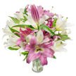 A studio-style portrait of a lush bouquet of oriental lilies, the composition filling the frame with a graceful mix of creamy off-white and deep fuchsia blooms arranged in a simple clear glass vase. The photograph's bright, even light and crisp white background let the lilies' textures speak for themselves: wide, silky petals of fully open flowers, some revealing star-shaped throats with pale yellow or light green hues, and others curled into tapered buds that promise more opening soon. The magenta to fuchsia lilies carry velvety petals with subtle lighter veins and occasionally a creamy centre, their pistils and yellow-tipped stamens forming a sculptural focus against the soft white neighbors. A generous sweep of dark green, lance-shaped leaves threads between the flowers, their glossy blades providing cool contrast and a garden-fresh feeling. Clear vase glass shows neatly trimmed stems and pristine water, a small detail that signals careful conditioning and freshness. The arrangement reads as elegant and celebratory, with a gentle perfume you can almost imagine-sweet, slightly spicy, and enlivening a room like an early spring morning. As a local New Barnet florist would suggest, this bouquet suits birthdays, anniversaries, or a refined thank-you; placed on a kitchen table near Station Road or at the foot of Oak Hill Park it would lift the space with quiet drama. The overall impression is one of professional craftsmanship and seasonal vitality: generous blooms, thoughtful foliage, and a timeless colour pairing that feels both joyful and composed.