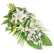 A dignified sympathy spray of white lilies and lisianthus is shown on a clean white background, arranged in a graceful diagonal that widens at the upper left and narrows to a gentle point at the lower right, echoing the natural flow of a farewell gesture. The main focus falls on several lush white oriental lilies, some in full bloom with generously curved petals and soft green centres, others still partially closed, the buds tapering elegantly and hinting at blossoms yet to open. Nestled among these larger flowers are clusters of lisianthus, their smaller, cup-shaped blooms predominantly white but finely edged in lavender and pale purple tones, giving a subtle hint of colour often appreciated in traditional New Barnet funeral tributes. Numerous small buds break up the surfaces, creating a layered, textured appearance that feels both delicate and substantial. The foliage is abundant and considered: wide, deep green leaves provide a dark, glossy stage on which the pale flowers shine, and some leaves are artfully folded and rolled into contemporary, architectural shapes around the centre. From the right-hand edge and lower portion, slim, arching green fronds extend outward, softening the composition's outline and guiding the eye down the length of the spray. The arrangement feels cool, composed and reverent, reminiscent of the quiet atmosphere in a chapel just off the Great North Road. Created in a style familiar to local families, this floral sheaf would be fitting laid across a casket, at a graveside in the New Barnet area, or beside a memory book at a wake, offering a gentle, graceful expression of condolence and remembrance.