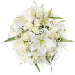 A pristine, top-down view of a perfectly rounded bouquet composed almost entirely of white and cream blooms, photographed against a pure white background so the textures and shapes read clearly. At the centre, large white trumpet-shaped lilies open wide, their broad petals curving softly outward and revealing pale yellow-to-light-green stamens that add a quiet point of colour; the lilies' satiny petals catch a soft, even light that suggests early morning or diffused studio illumination. Nestled between these dramatic lilies are clusters of creamy ivory roses, many held in tight bud or just beginning to unfurl, their velvety, layered petals forming gentle, concentric spirals that contrast with the lilies' sleek forms. Tiny clouds of white baby's breath (Gypsophila) are interspersed throughout, creating an airy, frothy veil that softens edges and fills negative space with delicate filigree. Sprigs of fresh green foliage peek around the circumference and beneath the heads, the green acting as a cool punctuation that brings out the warmth of the creams and the bright whiteness of the lilies. The dense, symmetrical composition reads as a bridal or celebratory bouquet: calm, refined, and timeless, conveying purity and understated luxury. Mentally place this bouquet on a wooden bench near New Barnet Station or carried down a quiet aisle at a Brunswick Park gathering, its scent a subtle blend of sweet lilies and old-rose perfume. The overall effect is handcrafted elegance with a local, neighbourhood sensibility - a floral piece that feels both ceremonial and intimately familiar to residents of New Barnet.