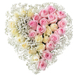 A striking heart-shaped funeral tribute is captured against a bright white backdrop, the simplicity of the setting drawing full attention to the roses and their tender symbolism. The heart is precisely divided down the middle, with the left half formed from a generous mass of creamy white to pale yellow roses, each bloom softly open, their layered petals suggesting peace, innocence, and quiet reflection. The right half mirrors this lushness with medium pink roses, lush and velvety, radiating warmth, gratitude, and the memory of shared affection. Interlaced throughout the design, and particularly evident along the central dividing line and the outer edge of the heart, dainty sprays of white baby's breath create a fine, airy texture that lightens the overall look, like a veil of mist surrounding the richer tones of the roses. The contrast between the two colours is gentle rather than stark, offering a sense of harmony between remembrance and love, making this design especially suitable for honouring a life well lived. This arrangement could easily be imagined travelling from a local florist in New Barnet to a funeral service near Barnet General Hospital, or resting in a chapel of rest around East Barnet. Its balanced proportions, full coverage of blooms, and careful craftsmanship speak of a tribute chosen with care. The mood is serene and romantic, perfect for families wishing to send a heartfelt message of sympathy, farewell, and enduring love within the New Barnet community.