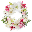 Set against a spotless white background, this circular funeral wreath forms an open ring of flowers in calm whites, soft pinks, and striking deep fuchsia tones, creating a gentle yet visually rich tribute. Large, open white lilies are the main focal point, their smooth petals unfolding widely to reveal soft green centres and golden stamens, giving the arrangement a sense of purity and quiet radiance, as though illuminated by soft daylight over the homes of New Barnet. Interspersed among them are deep magenta and fuchsia lilies, instantly recognisable by their star-shaped blooms and sometimes speckled petals, adding flashes of saturated colour that bring warmth and depth without disturbing the solemn mood. Clean white gerbera daisies with dark, contrasting centres are scattered throughout the wreath, their tidy layers of petals lending a modern, uplifting note. Around and between these key blooms are light pink roses in mixed stages of opening, from bud to partially unfurled, contributing a tender, romantic tone that suggests affection and remembrance. Creamy white roses, some fully flowered with tightly layered petals, add volume and a classic elegance often favoured for funeral tributes. Smaller white filler flowers - likely spray carnations or similar blossoms - tuck into every gap, giving the wreath a soft, cushioned texture. All of this is framed by a generous bed of green foliage, with varying leaf sizes and shapes creating depth and outlining the circular form. The result is a heartfelt memorial wreath, well-suited to delivery for a service in New Barnet or nearby Hadley Wood, conveying sympathy, respect, and the ongoing bond with a loved one who has passed.