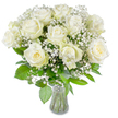 A serene, refined bouquet captured in luminous, even light: a dozen large white roses open into soft, velvety spirals, their outer petals pure ivory while a few tightly wound centers carry a subtle creamy-yellow warmth. Nestled among them are abundant sprays of baby's breath (Gypsophila paniculata), tiny clustered blossoms that float like mist around the larger heads and lend the arrangement an airy, cloud-like texture. Beneath the blooms, a generous sweep of fresh green foliage-leaf shapes ranging from elongated glossy leaves to smaller, textured greenery-frames and supports each rose, adding depth and lively contrast to the pale palette. The stems are neatly trimmed and visible through a simple, clear glass vase with a modest flare at its rim; the vase sits at the centre bottom of the composition and shows clear water, the clean lines underscoring the bouquet's classic elegance. The overall effect is calm and uplifting, as though the flowers were gathered on a cool morning and set in sunlight to breathe; the scent is hinted at-delicate rose with a soft green freshness rather than overwhelming perfume. As a local florist working in New Barnet, I imagine this arrangement sitting on a quiet dining table in a home near Brunswick Park or offering gentle comfort at a bedside on Station Road. It reads as a timeless choice for weddings, quiet anniversaries, sympathy, or a tranquil centrepiece to bring a sense of peaceful dignity to any room, where simplicity and impeccable freshness speak more loudly than ornament.