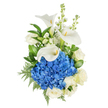 A portrait of quiet refinement: a vertical hand-tied bouquet photographed against a pure white backdrop, where cool blue and crisp white blooms compose a calm, reassuring story. At the visual centre sits a dense dome of deep blue hydrangea, its hundreds of tiny florets forming a cloud-like, textured focal point that reads almost velvety to the eye. Three sculptural white calla lilies rise just above that dome, their trumpet-shaped forms curving with smooth, waxy petals and revealing slim yellow spadices that introduce a subtle point of warmth. Scattered between and beneath these elements are creamy white roses with full, layered petals, their classic shapes softening the design and lending a gentle, familiar fragrance implied by the image. Tall stems of white stock or snapdragons add vertical rhythm and an airy lace of small clustered blossoms, drawing the eye upward and giving the bouquet a graceful silhouette. Rich, glossy foliage and feathery leatherleaf fern frame the composition, the deep greens providing contrast and a sense of grounded structure. The lighting is soft and even, allowing the whites to glow cleanly while preserving the hydrangea's vivid blue intensity, and the overall arrangement reads as both modern and timeless. This is the kind of bouquet you might choose for a thoughtful sympathy tribute, a dignified anniversary gift, or to convey sincere admiration; it feels like a cool, comforting breath of floral elegance and careful craftsmanship, evocative of calm and steady care.