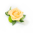 Carefully photographed against a clean white backdrop, this petite boutonniere or corsage centres on a single, full peach rose whose petals fade from a soft apricot outer edge to a slightly deeper, honeyed centre. The rose's numerous velvety layers are captured in bright, even light, each curl and fold suggesting the gentle, powdery scent of a newly opened bloom. Nestled to the left and beneath the rose sits a compact lime-green button chrysanthemum-a tight, cushiony sphere of tiny florets that brings a lively textural contrast and a fresh, spring-like pop of colour. Deep green ruscus leaves form a glossy, supportive base, their firm blades giving structure and a dark backdrop that accentuates the rose's warm tones. Delicately curled variegated foliage with pale stripes frames the blossom, the banded leaves adding a modern, tailored flourish and a sense of movement across the composition. From the lower right, a single strand of lustrous white faux pearls cascades gently, offering a whisper of vintage glamour and catching the light with a soft sheen. The arrangement is composed with precise floral craftsmanship-secure wiring, tasteful layering and balanced proportion-making it equally suited to a bridegroom's lapel, a prom corsage, or a formal evening accessory. Imagined for celebrations across New Barnet-perhaps pinned after a walk from New Barnet station or worn at a reception near Victoria Recreation Ground-this elegant piece radiates quiet refinement, fresh natural texture and the subtle romance of a handcrafted floral accent prepared with local care.