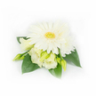 A delicate, hand-finished corsage photographed against a clean white background, the kind of piece a bride or mother of the bride might choose for a spring wedding in New Barnet. At its heart sits a large, fully open white Gerbera daisy whose silky, radiating petals form a soft halo around a textured yellow-green eye. Surrounding the Gerbera are several creamy Eustoma (Lisianthus) blooms and tight pale lime buds; two Lisianthus are half-unfurled, their ruffled edges catching the light and adding a layered, almost fabric-like texture. A smaller, layered white chrysanthemum or daisy peeks from the upper right, giving the composition fullness without crowding the focal bloom. Deep emerald green, broad leaves cradle the cluster, their glossy surfaces providing contrast and a garden-fresh frame that feels cool to the eye. On the right, a few tiny pearl beads are threaded discreetly through the foliage, their faint shimmer suggesting bridal elegance and a quiet luxury appropriate for formal occasions. The lighting is soft and diffuse, emphasizing the subtle gradations of cream and ivory and the velvety surfaces of the petals, while the overall compact curve of the arrangement reads like something gathered from a sheltered corner of a local garden near Station Road or Hadley Green. Sensory details - the imagined faint, clean scent of fresh petals and the slight give of the buds - reinforce the corsage's readiness to be pinned to a lapel or bouquet wrap, making it a refined, enduring choice for ceremonies, anniversaries, or gentle commemorations in and around New Barnet.