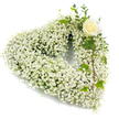 A heart-shaped sympathy wreath formed almost entirely from a cloud of tiny white Baby's Breath (Gypsophila), the countless little blossoms packed densely to create a soft, pillowy texture that reads like a field of new-fallen snow. The overall shape is a classical rounded heart, its edges feathered by the small airy sprays of gypsophila so that the silhouette appears weightless against the pristine white background. Tucked gently into the upper right curve is a single creamy-white rose, its petals unfolding in a tight spiral that offers a quiet, solitary focus amid the sea of minute blooms. Around that rose, slender sprigs of eucalyptus-like foliage and a few glossy, lobed ivy leaves are woven in - the deep green of the leaves offering a gentle contrast and a living frame to the pale florals. Soft, even lighting reveals subtle pearl and cream tones in the rose and the delicate translucence of each tiny baby's breath flower, while the greenery provides a tactile sense of depth and natural movement as it cascades slightly down the right side. The composition conveys purity, respect, and peaceful remembrance, a floral gesture commonly chosen for funerals or memorial services. As a local florist familiar with New Barnet and nearby Brunswick Park, I picture this wreath resting near a chapel doorway or on a tribute table at a service, its muted scent and refined simplicity offering solace and a visual embrace to those who gather to remember a loved one.