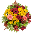 Top-down image of a hand-tied autumn bouquet that radiates warmth and seasonal cheer, presented against a crisp white backdrop. The composition is densely packed and circular, a tapestry of harvest tones where bright golden-yellow button chrysanthemums form a sunny, textured base-each tiny disk petal catching a soft, even light. Scattered through the composition are flat-faced gerbera daisies in a deep burgundy that anchor the arrangement with dramatic contrast, their darker centers drawing the eye inward. Interwoven among these are fully opened roses in velvety crimson and softer coral-pink to peach shades, their layered petals offering both visual depth and a gentle, romantic softness. Smaller star-shaped alstroemeria in cranberry and reddish-brown sit in the crevices between larger blooms, adding intricate veining and a delicate, papery texture. Lush green foliage-broad glossy leaves and variegated pale-green leaves with creamy edges-frames the bouquet and provides cool relief to the warm palette, while a few reddish-brown maple-like leaves peek from the edges, reinforcing the autumnal narrative. The overall scent is suggested rather than overpowering: a faint sweet floral note with green undertones, like a brisk walk through a local park on an October morning. The arrangement feels handcrafted and generous, suited for a Thanksgiving centrepiece, an autumn wedding table, or a heartfelt birthday gift. As a local florist familiar with New Barnet life-near the station and the neighbourhood High Street-this bouquet carries the quiet intimacy of small-community celebrations and the comforting colours of the season.