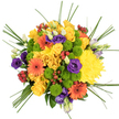 A richly textured, circular bouquet fills the frame from above, set against a clean white background that highlights every nuance of colour. At the centre, soft yellow roses and voluminous yellow chrysanthemums intertwine, their layered petals and plush, many-petalled heads forming a radiant, sun-like core. Around them, orange gerbera daisies with dark, contrasting centres create striking spokes of colour, giving the arrangement a joyful, almost celebratory rhythm. Interspersed clusters of lime green button chrysanthemums add neat, rounded forms and a cool, zesty tone, reminiscent of fresh foliage in the gardens around New Barnet. Deep purple lisianthus blooms drift through the design, some open and gently ruffled, others still in bud, lending an elegant, velvety depth that balances the brighter hues. Tiny bunches of shiny red hypericum berries peek from between the petals, their smooth surfaces catching the light like miniature lanterns. Fine blades of bear grass sweep gracefully beyond the rounded outline of the bouquet, creating arcs and lines that suggest movement and airiness. Every element feels thoughtfully placed, as if arranged by a New Barnet florist preparing a vibrant birthday, congratulations, or just because delivery to a nearby home. The bouquet visually conveys freshness, a soft floral fragrance, and an unmistakable mood of happiness and connection-an uplifting, seasonal composition designed to light up a room and the person receiving it.