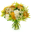 A rich, autumn-toned bouquet is presented upright against a clean white background, its structure and colours clearly defined, as if prepared for same-day delivery from a New Barnet florist. The arrangement takes on a full, domed silhouette, heavily packed with large chrysanthemums whose intricate petals form bursts of deep golden yellow, warm orange, and rusty brown, giving the design a sense of texture and depth reminiscent of a walk through New Barnet's tree-lined streets in early autumn. Nestled within this warm tapestry are several creamy white roses, their petals smooth and elegantly spiralled, offering moments of softness and calm among the more fiery hues. Bold celosia flowers in glowing yellow-orange stand out with their velvety, ruffled forms, curling like coral or cockscomb and adding a sculptural rhythm that catches the eye. Between and around these focal blooms, numerous small, white daisy-like flowers with bright yellow centres-evoking chamomile or matricaria-are dotted generously, lending a carefree, meadow-style lightness and a hint of countryside charm. Framing the composition are airy sprigs of lime-green solidago and other lush greenery, their fine, feathery textures and fresh tones lifting the whole bouquet and enhancing its lively, garden-picked character. The stems are gathered neatly, aligned, and wrapped tightly with green florist's tape at the base, clearly showing the hand-tied craftsmanship and readiness to be slipped into a vase as soon as it arrives at a New Barnet doorstep. The overall impression is one of warmth, gratitude, and gentle celebration, ideal for birthdays, housewarmings, or simply brightening a home near East Barnet Village with seasonal colour.