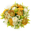 Set against a seamless white background, this hand-tied bouquet glows with the mellow light of autumn, as if it has captured the late-day sunshine over New Barnet in flower form. The most striking elements are the chrysanthemums, their large, intricate blooms painted in shades of golden yellow, bronzed orange, and deep burnt umber. Some are shaped like perfect spheres, filled with layer upon layer of ruffled petals, while others curl into rich, undulating, almost brain-like forms in mustard yellow and warm brown, giving the bouquet a deeply textured, tactile quality. Between these sculptural flowers sit several creamy white roses, their velvety petals unfolding in soft spirals that bring a timeless, romantic calm to the fiery colour palette. Scattered throughout are tiny white daisy-like blooms, probably feverfew or chamomile, each with a bright yellow centre that twinkles like stars, suggesting the informal charm of wildflowers growing near Hadley Common or along the paths towards Monken Hadley. Fine plumes of lime-green solidago and other airy foliage create refreshing bursts of colour and movement, breaking up the warmer tones and lending the design a freshly gathered feel. The arrangement is rounded and compact, with no loose edges, so it appears generous, polished, and expertly crafted, much like a bespoke gift chosen for a New Barnet birthday, housewarming, or thoughtful get-well gesture. On the clean background, every shade, from honeyed gold to crisp white and bright green, stands out clearly, allowing the bouquet's rich textures and harmonious colours to communicate warmth, comfort, and quiet celebration.