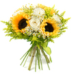 A lush, hand-tied bouquet stands out vividly against a bright white background, its colours and textures evoking a stroll through a sunlit garden in New Barnet. At its centre, three full-faced sunflowers with velvety dark brown centres and wide golden-yellow petals form a bold, joyful core, like little suns gathered in a florist's hand. Around them, creamy white roses nestle comfortably, their layered petals smooth and soft, adding an elegant, romantic note that tempers the rustic charm of the sunflowers. Threading through the composition are small white daisy-like flowers with neat yellow centres-chamomile or feverfew-that introduce a playful scattering of tiny blooms, as if freshly picked from a wild patch near New Barnet's quiet side streets. Encircling and softening everything, fine sprays of chartreuse-green foliage-resembling solidago-create a light, airy halo, their feathery texture and tiny buds adding depth and a lively, almost sparkling green backdrop. The stems are gathered together in a clean, hand-tied style, cut to an even length and bound with a slim lime-green ribbon that wraps securely and trails subtly, reinforcing the fresh, natural palette. The overall shape is rounded and generous, with each flower clearly visible yet harmoniously blended. Crafted with an experienced florist's eye, this bouquet would be perfect for same-day delivery across New Barnet, whether to welcome a new baby, send cheerful birthday wishes, or bring a burst of sunshine into a home office. Its blend of bright yellow, calming white, and vibrant green radiates positivity, comfort, and sincere appreciation.
