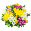 This joyful bouquet, photographed against a clean white background, is a lively mix of yellow, white, and purple tones that feels at once approachable and celebratory, like a surprise delivery arriving at a doorstep near Barnet High Street. At its centre are generous bright yellow chrysanthemums, their big, cushion-like flower heads packed with fine petals that create a soft but eye-catching focal point. Some of these chrysanthemums are fully opened, forming near-perfect spheres of sunshine, while others are still unfurling, adding texture and a sense of fresh growth. Nestled amongst them are sprigs of buttery yellow spray roses, appearing as both tight, rounded buds and dainty, partially open blooms, bringing a touch of romance and gentle fragrance to the design. Scattered throughout the bouquet are numerous white daisy-style spray chrysanthemums with distinct light green centres, their crisp petals offering a cool, refreshing contrast that keeps the arrangement from feeling heavy. Vivid magenta or deep purple daisy flowers provide a playful pop of colour, each bloom centred with bright yellow that echoes the larger chrysanthemums and ties the whole palette together. A few subtle hints of pale pink or lavender peek through, softening transitions between the stronger tones. All of the flowers are cradled by lush, glossy green foliage wrapped generously around the bundle, creating a rounded, well-filled outline that suggests abundance without being overwhelming. The bouquet evokes feelings of happiness, encouragement, and everyday celebration, perfectly suited for sending a budget-friendly yet heartfelt message to a friend, colleague, or family member in New Barnet who could use a little lift.
