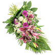 A refined sympathy spray in vivid pinks, pure whites, and lush greens lies on a stark white background, its elongated, diagonal form evoking a gentle cascade of remembrance from the top left corner to the lower right. At its centre, large Oriental Stargazer lilies open generously, their fuchsia-pink petals edged in crisp white and shot through with deep burgundy speckles, each bloom radiating emotion and grace. Several lily buds, their tips blushing pink against pale green, stand upright among the flowers, adding height and a sense of unfolding stories. Bright magenta gerbera daisies punctuate the design with round, daisy-like faces, bringing warmth and a hint of optimism, while creamy white roses and soft, frilled white carnations cluster closely, offering a message of respect, purity, and tender remembrance. Tiny white filler flowers, akin to miniature daisies, are scattered delicately between the larger blooms, giving the arrangement a light, airy finish and drawing the eye along its flowing line. Encircling the flowers is a generous veil of greenery: broad, dark green leaves provide structure, feathered fern fronds soften the edges, and long, slender leaves sweep outward and downward, mirroring the spray's tapering silhouette. The stems are neatly bound at the upper left, clearly showing the hand-tied craftsmanship behind the tribute. This floral design, ideal as a funeral spray, casket adornment, or graveside arrangement in New Barnet or along the quiet streets towards East Barnet, carries a calm, reverent mood, offering comfort and a beautiful way to say a final, heartfelt goodbye.