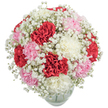 A harmonious celebration of local artistry, this blooming ensemble from Flowers New Barnet captures the gentle elegance that graces the neighbourhood. Plush carnations dominate the scene, their textures undulating in radiant red, soft blush pink, and pure white-each hue contributing to a balanced palette reminiscent of New Barnet's peaceful gardens. Baby's Breath unfurls around the core, each tiny blossom floating like a whisper, adding softness and volume, reminiscent of early morning fog rolling over Victoria Recreation Ground. The bouquet's rounded fullness invites touch and admiration, with every ruffle and fold illuminated by crisp daylight against the white backdrop. Nestled in a rounded glass vase, just barely visible, the flowers appear fresh and lively, exuding a subtle fragrance that stirs memories of springtime strolls through the local parks. Perfect for birthdays, housewarmings, or spontaneous tokens of love, this arrangement feels both timeless and immediate-a gentle reminder of the joy found in shared moments and artfully curated nature. Available for swift delivery throughout New Barnet, this bouquet not only decorates a room, but also infuses it with warmth, comfort, and sincere emotion.