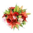 Seen against a crisp white background, this hand-tied bouquet reads like an artist's study in warm tones and fresh texture. At its center several large orange-red Asiatic lilies, some fully opened with subtly speckled petals and dark anthers, command attention while nearby unopened buds promise a slow unfurling of new blooms. Deep crimson Gerbera daisies provide a bold, velvety contrast with their radiating petals and darker central disks, punctuating the composition with dramatic focal points. Soft blush pink roses thread through the arrangement, their silky petals ranging from tight spiral buds to looser, romantic blooms that soften the overall palette. Scattered clusters of glossy red hypericum berries catch the light like tiny jewels, adding a festive, tactile counterpoint to the smooth rose petals and papery lily blooms. A generous mix of greenery - broad solid leaves, slender pointed lily foliage and a few variegated leaves with pale streaks - fills and frames the bouquet, creating a lush rounded silhouette and subtle depth. The lighting is bright and even, bringing out the saturated reds and oranges while keeping the pinks delicate; one can almost imagine a faint sweet-spicy scent rising from the stems. This arrangement has the energy of a celebratory gift, perfect for anniversary or birthday moments, and carries the careful craftsmanship of a local florist who balances bold drama with tender softness. If delivered to a home or workplace in New Barnet, its vivid colours will lift a room and draw close appreciation for the flowers' form and fragrance.