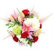 A richly textured, dome-shaped bouquet is shown from a slightly elevated angle, set against a flawless white studio background that lets every tone glow, as if it were displayed in the front window of a New Barnet florist. The arrangement is a harmonious blend of romance and modern style: deep, velvety red roses form the passionate heart of the design, each one tightly layered and full, while pink stargazer lilies rise gracefully among them, some fully open with speckled star-shaped petals, others still closed in smooth, tapered buds suggesting the promise of more blooms in days to come. Surrounding these focal flowers, generous heads of soft, creamy white hydrangeas pack in volume and create a cloud-like cushion that feels both luxurious and comforting, the kind of bouquet you might send to celebrate a new home near New Barnet station or to honour a special family gathering off East Barnet Road. Tucked between the larger blossoms are striking lime-green Green Trick dianthus, their fuzzy, spherical form reminiscent of mossy garden tufts, adding a contemporary splash of colour and an intriguing texture that invites touch. Fine plumes of pale pink astilbe drift outward at different angles, breaking up the dense form and lending a light, airy silhouette that echoes the movement of grasses in nearby Oakhill Park. Subtle hints of lavender and fuchsia filler flowers peek through here and there, giving a gentle complexity to the colour palette. Rich green foliage frames the composition, with glossy rose leaves and delicate fern-like sprigs adding depth and natural rhythm to the design. The lighting is even and bright, free from harsh shadows, capturing every curve of petal and edge of leaf, making this bouquet ideal as a romantic gift, a celebratory centrepiece, or a refined sympathy gesture delivered across New Barnet with a sense of care and occasion.