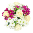 Viewed from directly above, this elegant mixed bouquet forms a rounded, almost perfectly symmetrical circle of blooms set against a pure white background, as if it has just been placed on a bright table in a New Barnet home. At its core, several creamy, ivory-white roses stand out, their layered petals curling inward in classic spirals that suggest softness and quiet sophistication. Surrounding and weaving between them, numerous white chrysanthemums with daisy-like petals create a generous blanket of texture; each bloom features a distinct yellow-green center, adding a fresh, garden-bright accent that recalls the greenery of nearby parks and gardens off the New Barnet High Road. Punctuating this gentle palette, clusters of rich fuchsia and magenta spray chrysanthemums introduce vivid bursts of colour. Some of these smaller blooms are open wide, revealing detailed petal structures, while others remain in neat, rounded buds that hint at ongoing life and longevity once the bouquet reaches its recipient. The flowers are packed tightly enough that only minimal deep green foliage peeks through, providing subtle contrast without diluting the focus on the blossoms. The lighting appears natural and even, with no harsh shadows, making the whites look crisp and the pinks rich but not overpowering. This arrangement feels both polished and approachable, perfectly suited as a centerpiece for a family meal, a congratulatory gift for a new home near Oakleigh Park, or a gentle, uplifting surprise delivered locally. The mix of classic roses, innocent white daisies, and playful magenta tones evokes warmth, joy, and understated celebration.