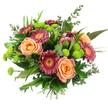Presented against a pure white background, this abundant hand-tied bouquet looks freshly crafted for a New Barnet home, every flower placed to create balance and gentle drama. At its heart, full-bloom roses in shades of peach and apricot open in layered spirals, their petals soft and rounded, suggesting warmth and intimate celebration. Encircling the roses, Gerbera daisies in rich burgundy, deep magenta, and muted rose tones spread their smooth, radial petals around luminous yellow and orange centres, adding brightness and a hint of playful charm. Slightly taller in the upper centre, a striking protea stands proudly, its elongated cone wrapped in firm bracts of reddish-brown and maroon, contributing an exotic, almost architectural detail that catches the eye. Between these standout flowers, clusters of lime-green button chrysanthemums appear as neat, spherical domes, injecting lively green colour and a textured, cushion-like feel that contrasts with the smoothness of the surrounding petals. The entire arrangement is cradled in a collar of greenery: broad, glossy leaves and fine, linear foliage interwoven with delicate eucalyptus sprigs that arc outward, giving the bouquet a sense of movement and natural abundance reminiscent of walks around New Barnet's leafy streets. The stems are gathered and tied tightly at the base, underlining the hand-tied craftsmanship and making it ready to be dropped directly into a vase on a kitchen table or sideboard. Subtle, even lighting brings out the depth of each hue and the interplay of shadows, resulting in a bouquet that feels joyful yet refined, a fitting choice for birthdays, milestones, or simple acts of kindness in New Barnet.