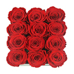 From a straight-down perspective, the photograph showcases an opulent square of red roses, twelve in total, arranged in an exact 3x4 grid that feels both modern and timeless. Each rose is in full, perfect bloom, the petals unfolding in luxurious spirals that create a sense of depth and softness across the entire surface of the arrangement. The blooms are pressed closely together so that their velvety edges almost touch, forming a continuous field of saturated crimson that fills the frame, with only the faint glint of a dark, polished box edge visible at the very bottom. Light falls evenly across the roses, catching on the outermost petals and slipping into the darker folds within, enhancing the impression of richness and careful craftsmanship. There is a quiet, almost ceremonial quality to this composition, as though the box has just been opened in a New Barnet home or restaurant near Church Hill Road or the High Street, revealing a thoughtfully prepared declaration of love. The roses themselves appear to be preserved or eternity blooms, their immaculate condition and consistent colour suggesting that they are meant to be admired for weeks or even months. With no additional decoration to distract the eye, the focus remains entirely on the roses and the emotions they represent-deep romance, loyalty, and appreciation. It is easy to imagine this arrangement being ordered for same-day delivery across New Barnet as a bold anniversary surprise or a Valentine's Day gift that lingers long after the occasion, a compact yet powerful symbol of lasting affection held within a simple, elegant box.