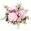 A sumptuous, hand-tied bouquet in a harmonious palette of pinks and soft lavenders is shown against a clear white background, giving every bloom room to shine. In the centre, three large, rounded heads of pale pink hydrangea form a plush, cloud-like core, their countless, closely packed petals creating a dreamy sense of softness. Gathered around them are elegant blush roses, some tightly furled with a promise of tomorrow's bloom, others fully open and revealing their delicate spiral hearts, lending the composition a classic, romantic character. Woven between these larger flowers are fine sprays of magenta and fuchsia waxflowers, their many starry blossoms and slender stems adding detail, fragrance, and a touch of wild countryside charm. Interspersed clusters of smaller, five-petalled pink flowers echo the main palette while introducing a lighter, more whimsical note, like petals scattered by a gentle breeze. Along the outer curve, graceful stems of campanula rise, bearing small bell-shaped flowers in restful lavender and periwinkle tones that cool and balance the surrounding pinks. Fresh green hydrangea leaves and airy foliage peek out from beneath, providing depth and a natural, just-gathered-from-the-garden feel, as though the bouquet has been picked from a hidden corner of a New Barnet back garden on a bright spring morning. The overall impression is one of tenderness and joy, a bouquet perfectly suited to same-day delivery across New Barnet for birthdays, anniversaries, or simply to bring a sense of calm beauty into a home near High Barnet or along Lyonsdown Road.