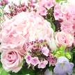 A richly detailed, close-up bouquet in this image showcases the soft, romantic side of pink flowers as seen through the eyes of a local New Barnet florist. Slightly off-centre to the upper left, a voluminous light pink hydrangea anchors the composition, its mass of small, four-petalled florets fanning out to create a rounded, cushiony shape that feels both full and airy. Nestled around it, a blush rose at the lower left opens gracefully, each velvety petal curling outward from a tightly wound spiral core, the shading shifting from a more saturated pink in the center to a delicate blush at the edges. On the mid-right, another rose repeats this form, its bloom slightly more open, giving the arrangement a sense of gentle symmetry. Threaded among these focal flowers are tiny clusters of fuchsia and magenta blossoms, likely waxflower or phlox, their petite star or disc shapes and deeper centres adding a lively sprinkle of colour and texture, like confetti scattered between the larger blooms. Near the bottom right, a bell-shaped campanula in soft lavender-blue reaches outward, cooling the palette just enough to keep it fresh, much like the breezy feel of walking through leafy streets off Lyonsdown Road. Lush, dark green foliage and slender stems weave between the blooms, providing structure and a natural backdrop that makes every pastel petal stand out. The lighting is gentle and natural, emphasizing the bouquet's fresh-cut quality and the serene, affectionate mood it conveys-perfect for birthdays, anniversaries, or an elegant same-day delivery to homes and offices across New Barnet.
