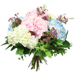 A softly rounded bouquet of hydrangeas in pastel pink, sky blue, and creamy white is captured against a pure white background, every bloom and leaf finely detailed, suggesting the careful touch of a New Barnet florist. The hydrangea heads are large and full, made of countless tiny, rounded florets that gather into plush, cloud-like domes, creating a sense of volume and gentle movement. The pink blooms add a tender, romantic sweetness, the blue hydrangeas offer a cool, calming note reminiscent of an open sky above Oakhill Park, and the white blossoms bring a fresh, luminous clarity that ties the palette together. Threaded among these generous blooms are slender sprays of deep magenta filler flowers, similar to waxflower, their miniature clusters giving a delicate, airy contrast and flecks of brighter colour. Surrounding and supporting the hydrangeas is a rich collar of greenery, with broad, dark green, glossy leaves and lighter, more delicate foliage that mirrors the look of a well-tended New Barnet garden after rain. The stems are neatly bunched and tied at the base, forming a classic hand-tied arrangement that looks ready to be delivered to a family gathering in High Barnet or a quiet celebration near Cockfosters. Soft, even lighting enhances the textures without casting harsh shadows, allowing the viewer to almost sense the velvety touch of the petals and the crisp freshness of the leaves. The bouquet carries an atmosphere of gentle joy and calm reassurance, ideal for birthdays, get-well wishes, or simply brightening a home with understated elegance.