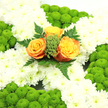 A beautifully composed sympathy cross, rich with Irish symbolism, stretches across the frame as though laid gently on a coffin or easel in a New Barnet chapel. The cross is entirely upholstered with pure white chrysanthemums, positioned so close together that their velvety petals merge into a soft, pillowy blanket, conveying innocence and peace. Tracing the outer lines of the cross and accentuating its arms, firm domes of lime-green button chrysanthemums emerge, their vivid colour and rounded shapes adding both structure and a fresh, uplifting tone, like new grass on the slopes near Hadley Common. At the very centre, three roses form a radiant cluster: one in deep, sunset orange and the others blending apricot and yellow-gold, their swirling petals gently opening as if mid-breath. These central roses are encircled by sprigs of bright green filler and dark, fern-like leaves that curl outward, giving depth and drawing the eye to the middle of the cross. The trio of colours-green, white, and orange-evokes the Irish national flag in a subtle yet unmistakable way, making this piece fitting both as a patriotic tribute and as a token of personal loss. Soft, even lighting reveals every curve of petal and leaf, while shadows between the blooms add quiet drama. It feels like a floral embrace, suitable for a funeral, memorial Mass, or graveside service anywhere across New Barnet, offering a message of remembrance, faith, and enduring connection to Irish roots.